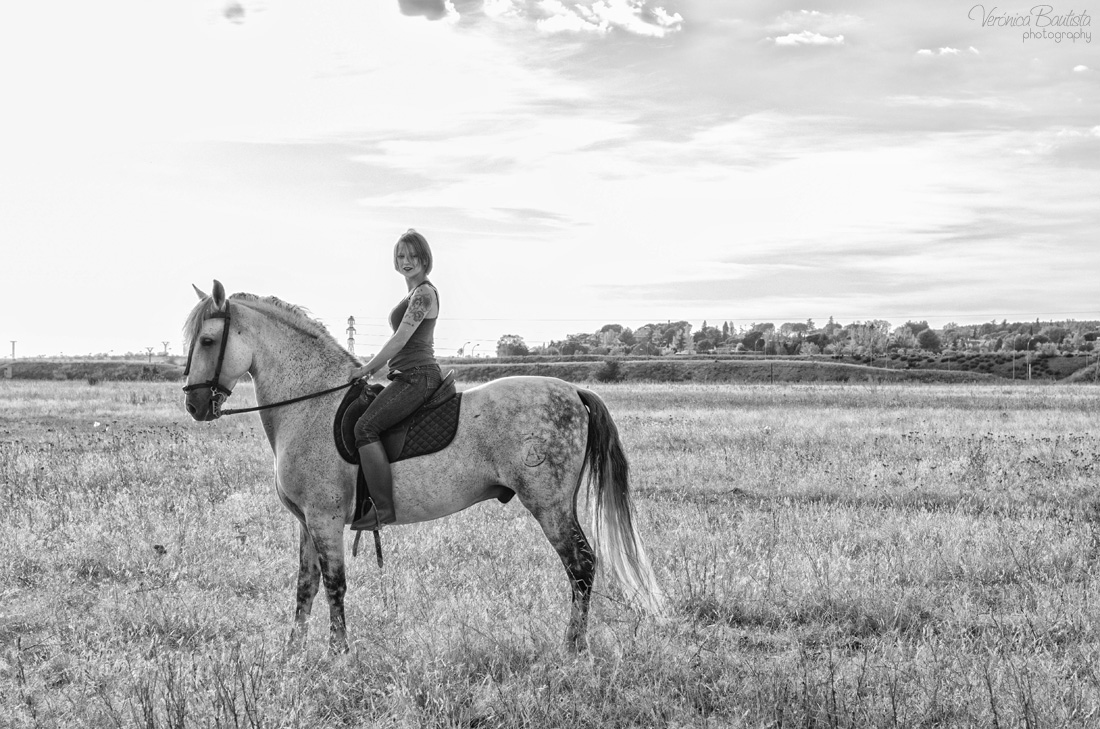 De la nuance entre dresser un cheval et éduquer un cheval